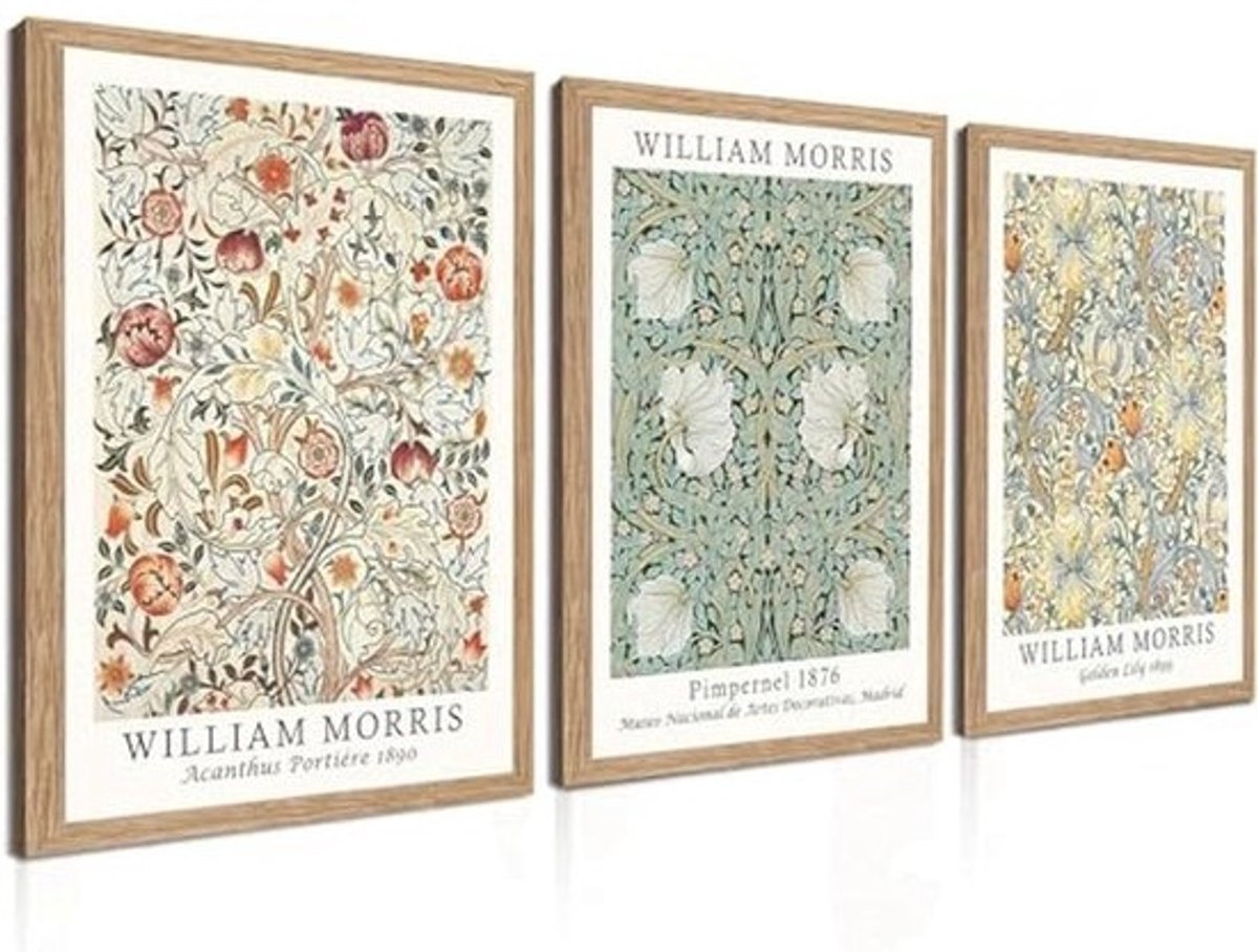 Ingelijste Bloem Muurkunst Canvas Decor Set van 3 - Midden Eeuw Moderne Kunst - Botanische Muurkunst voor Woonkamer en Badkamer