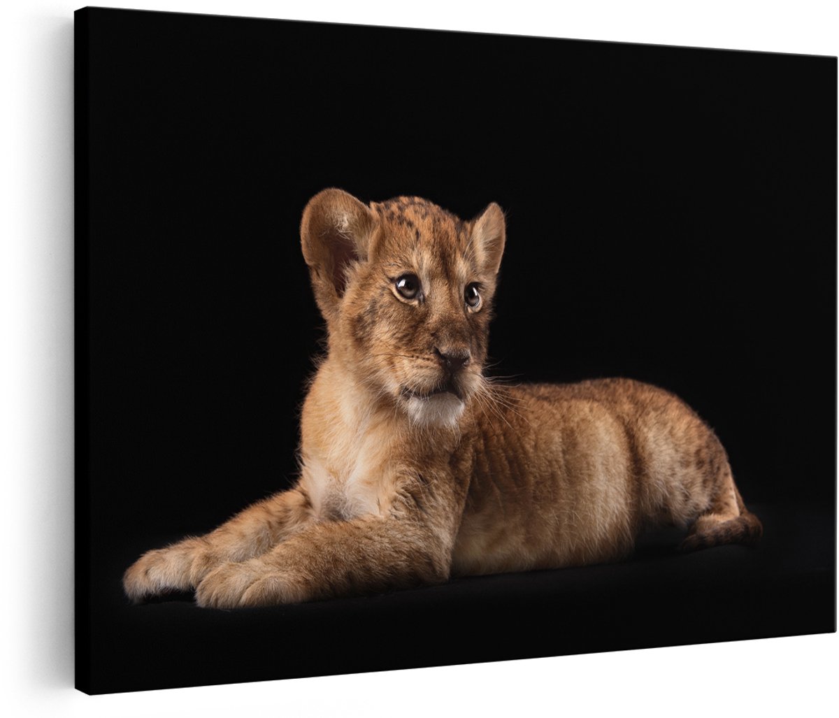 Artaza Canvas Schilderij Leeuwen Welp op het Zwart - Baby Leeuw - 150x100 cm - Groot - Foto Op Canvas - Wanddecoratie Woonkamer