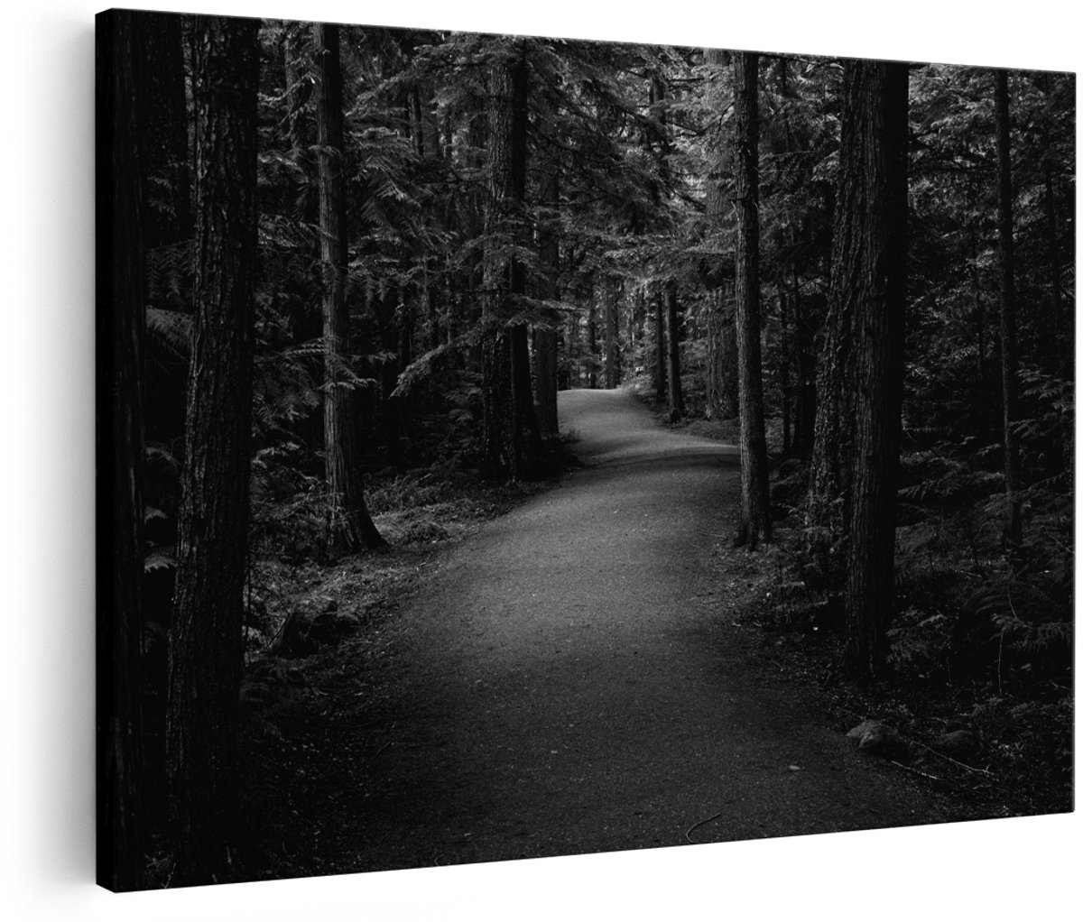 Artaza Canvas Schilderij Bospad tussen de Bomen - Zwart Wit - 150x100 cm - Groot - Foto Op Canvas - Wanddecoratie Woonkamer