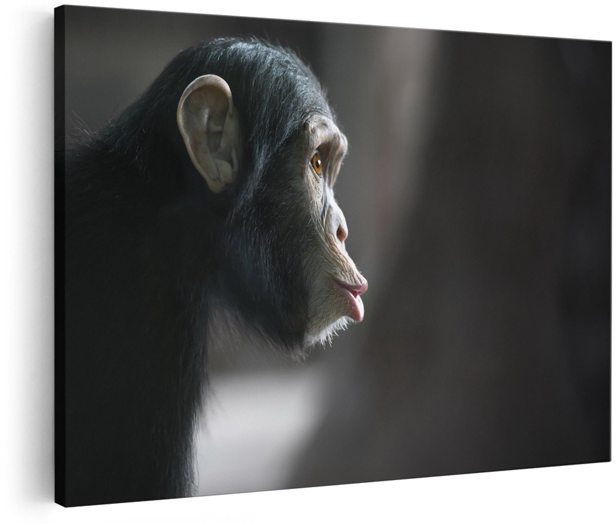 Artaza Canvas Schilderij Verbaasde Aap Vanaf De Zijkant - 180x120 cm - Groot - Wanddecoratie Woonkamer - Schilderijen - Muurdecoratie