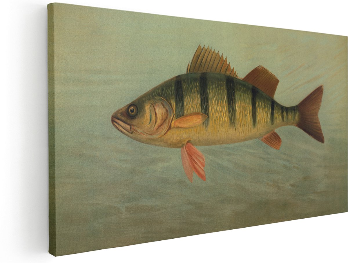 Artaza Canvas Schilderij Vis - 180x90 cm - Groot - Wanddecoratie Baars - Muurdecoratie Vintage Dieren - Kamer Accessoires