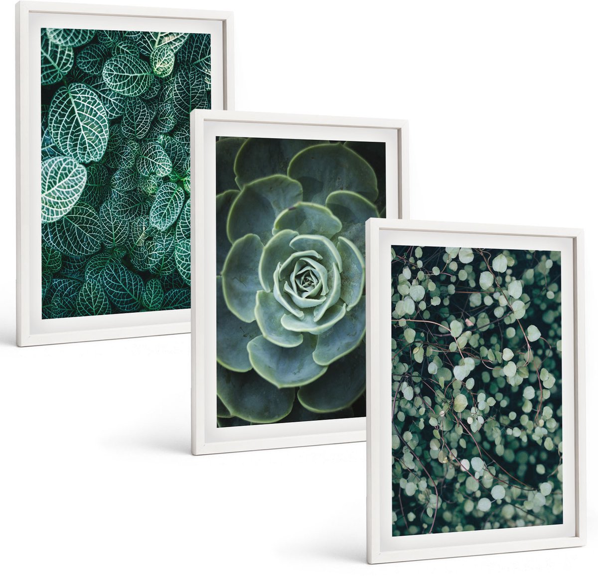 Wallfluent 3-Delige Schilderij Set - Groene Bladeren Van Vetplanten En Tere Takjes - 40 x 60 - Decoratieve Muurdecoratie - Slaapkamer - Moderne Wanddecoratie