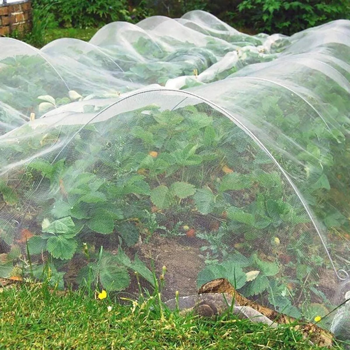 Insectennet van 3m x 10m, insectennet Geschikt voor planten, hagelbeschermingsnet, tuinnet, insectennet Geschikt voor moestuinen, fijnmazig insectennet Geschikt voor planten en moestuinen, duurzaam insectennet.