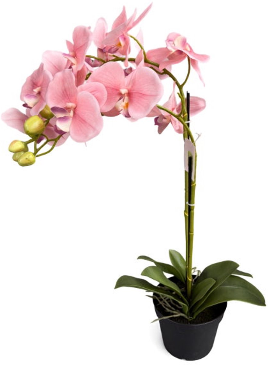 Orchidee new pink in pot H 63 cm kunstplant Oosterik Home