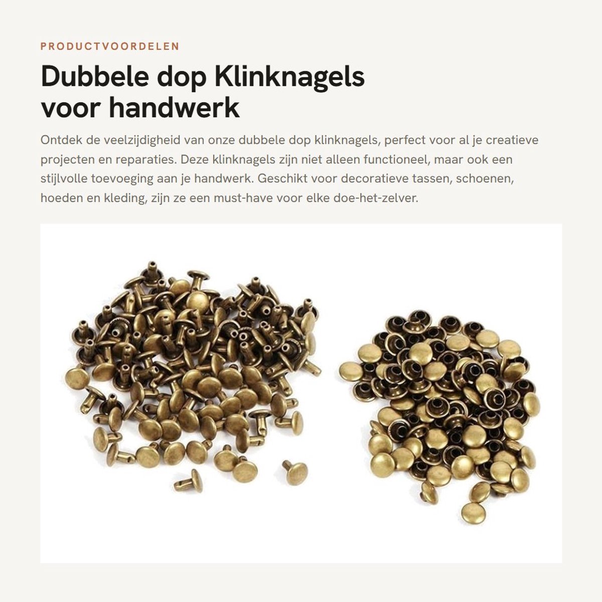 Dailygoods- Dubbele Dop 100 Sets - Klinknagels voor Leer - Decoratie - Reparaties - Hoogwaardig Ijzer - 8 x 8 mm