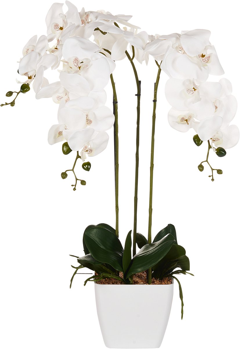 Beliani ORCHID - Kunstplant - Wit/Groen - 59 cm - Synthetisch