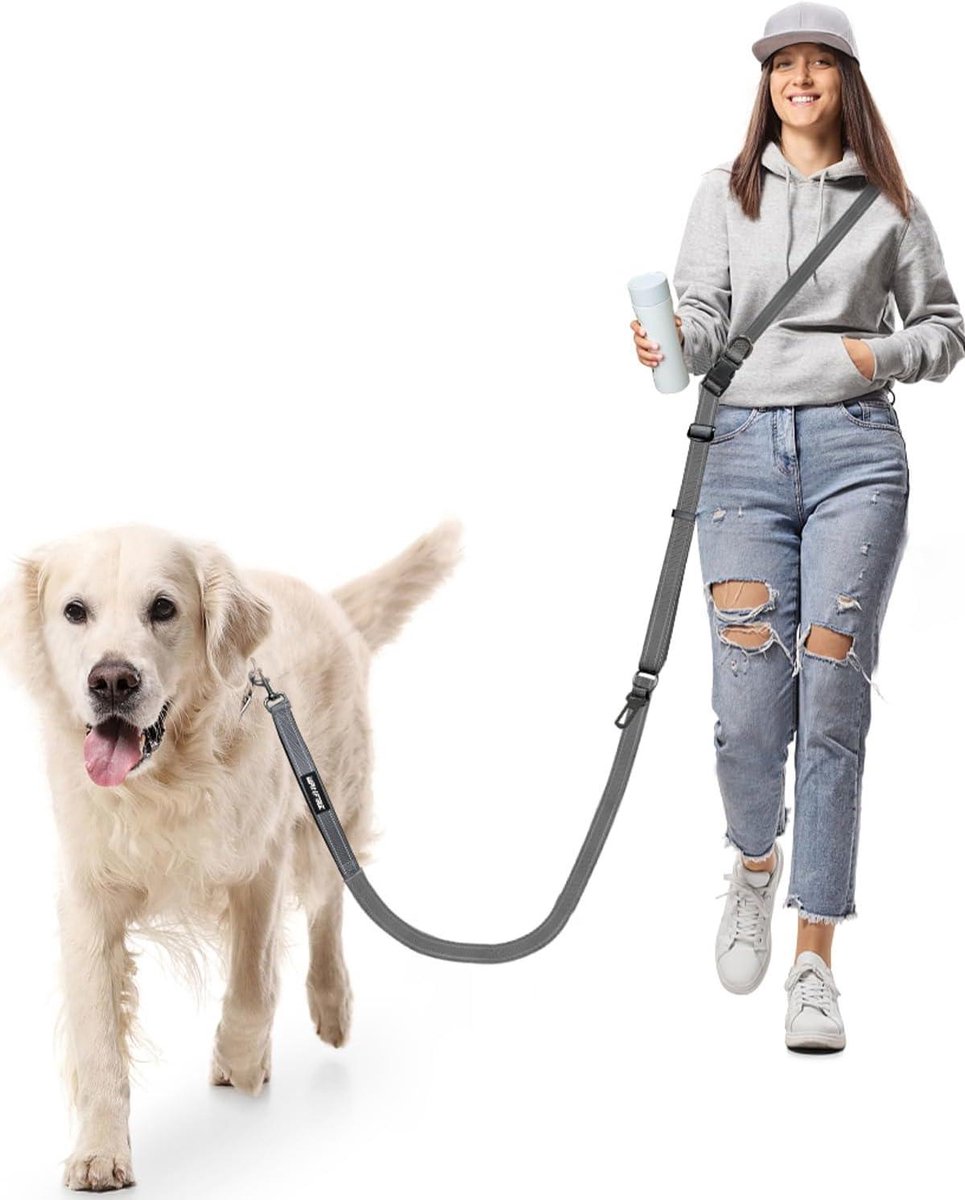 Hands-Free Hondentuig - Verstelbare Leash - Hardlopen Wandelen - Dubbele Handgrepen - Tot 2.9 Meter - Grijs