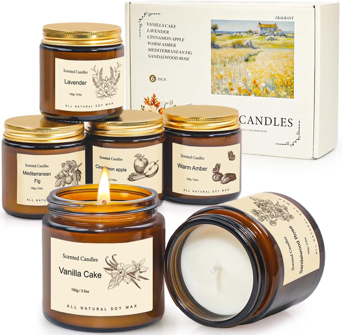 Thijox - Geurkaarsen set van 6 - Soja aromatherapie kaarsen - Decoratie voor nieuw huis - Lavendel, Vanillecake, Kaneelbak, Sandelhoutroos, Barnsteen,