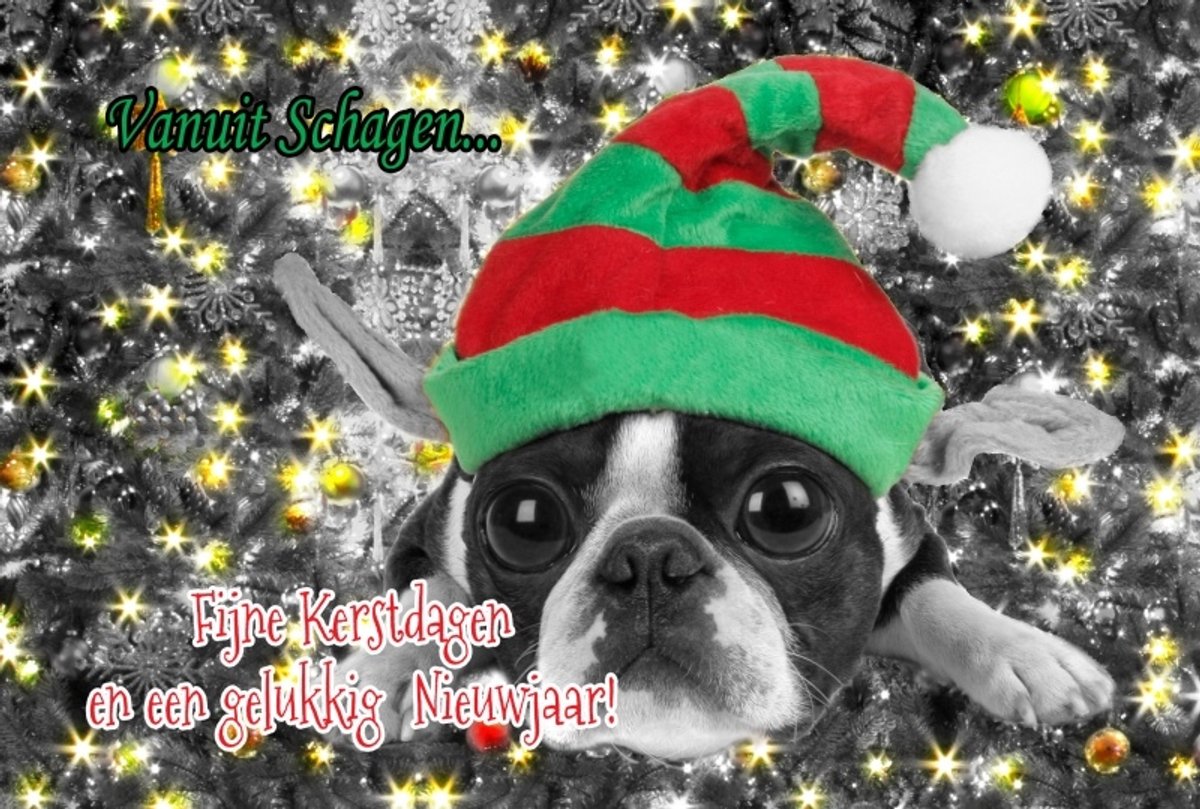 Happy Holidays | 17x11 | 6 stuks | Vak 136