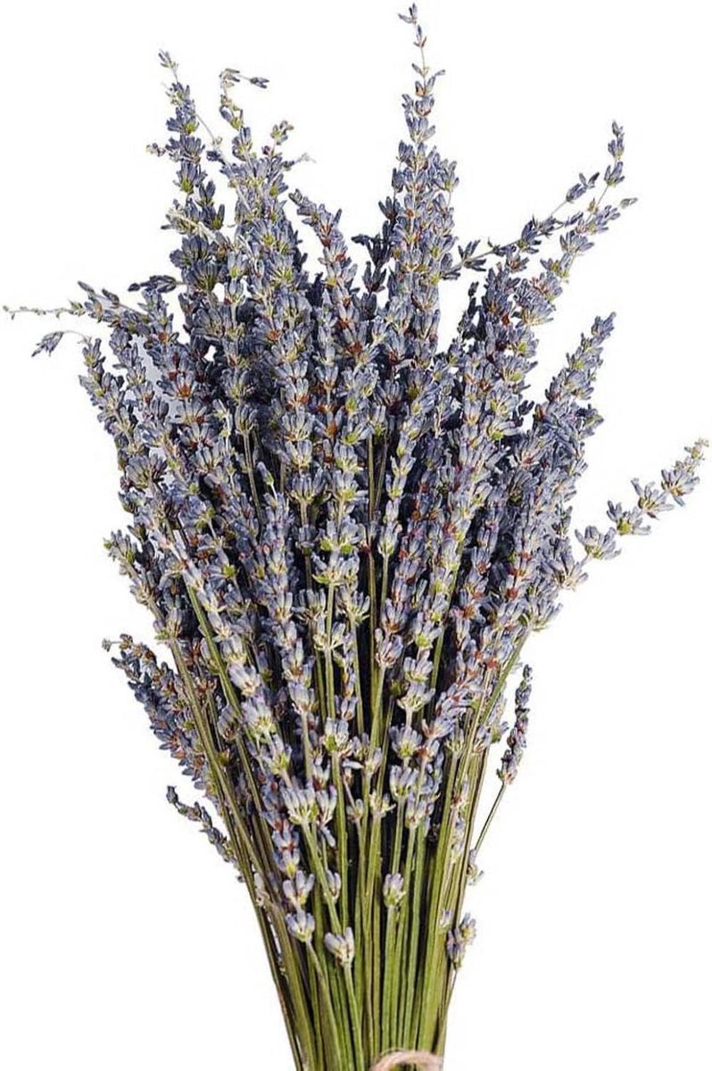 Gedroogde Lavendel - Lavendelbloemen Boeket - Huis Decoratie - Natuurlijke Schoonheid - 40 cm - Paars