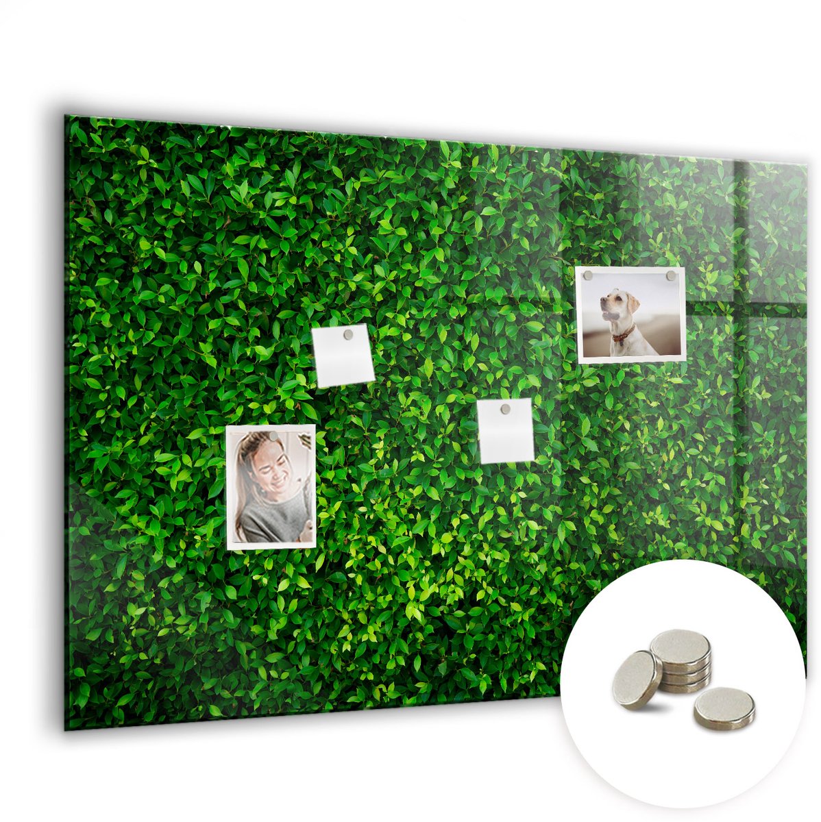 Coloray Glazen Magneetbord - Magnetisch Bord Abstracte wereldkaart - 100x70 cm - Groente Magneetbord - Magnetic Board - Magneetbord Design