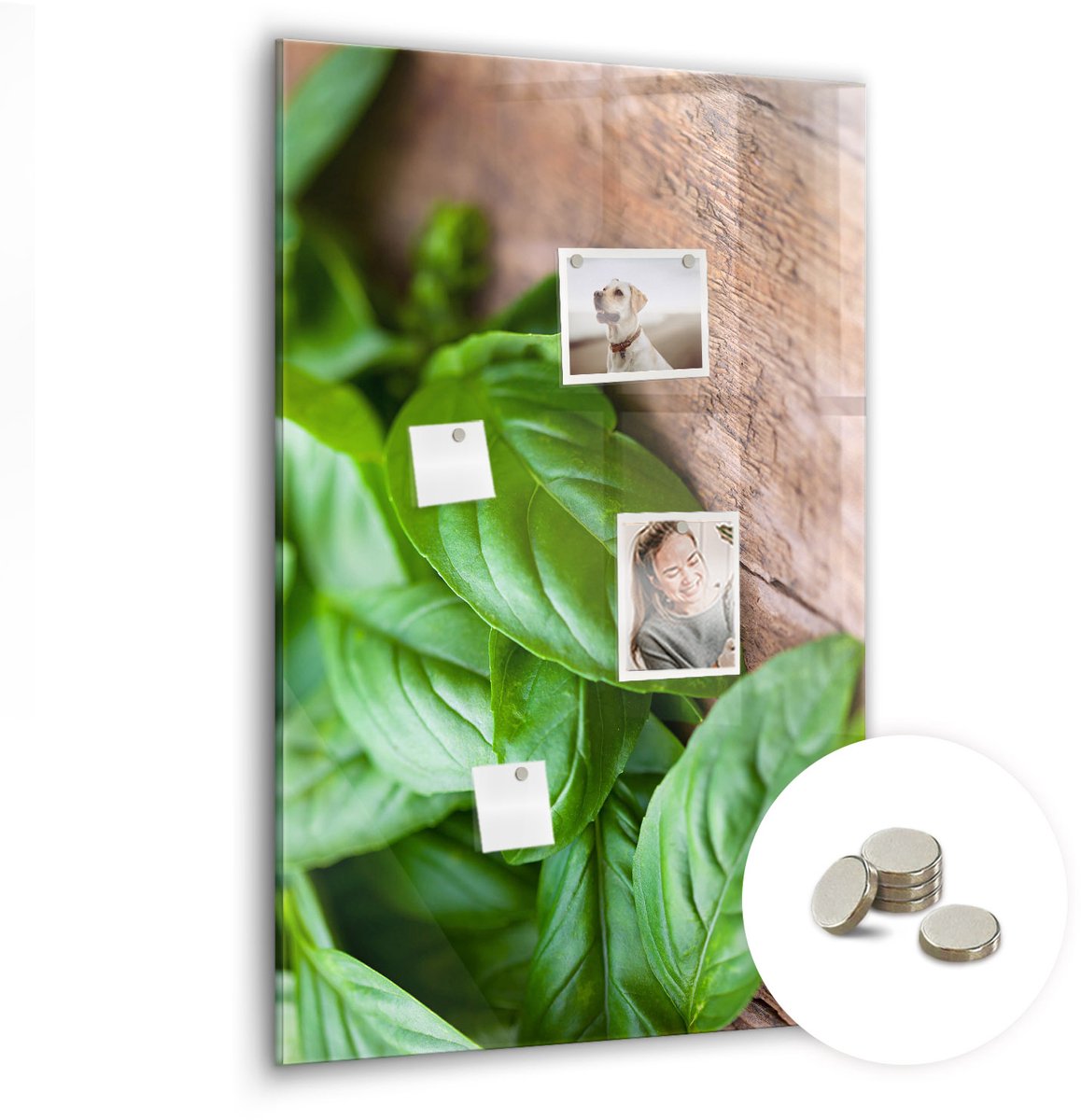 Coloray Glazen Magneetbord - Magnetisch Bord Abstractiepunten - 60x90 cm - Groente Magneetbord - Magnetic Board - Magnetisch Wandbord