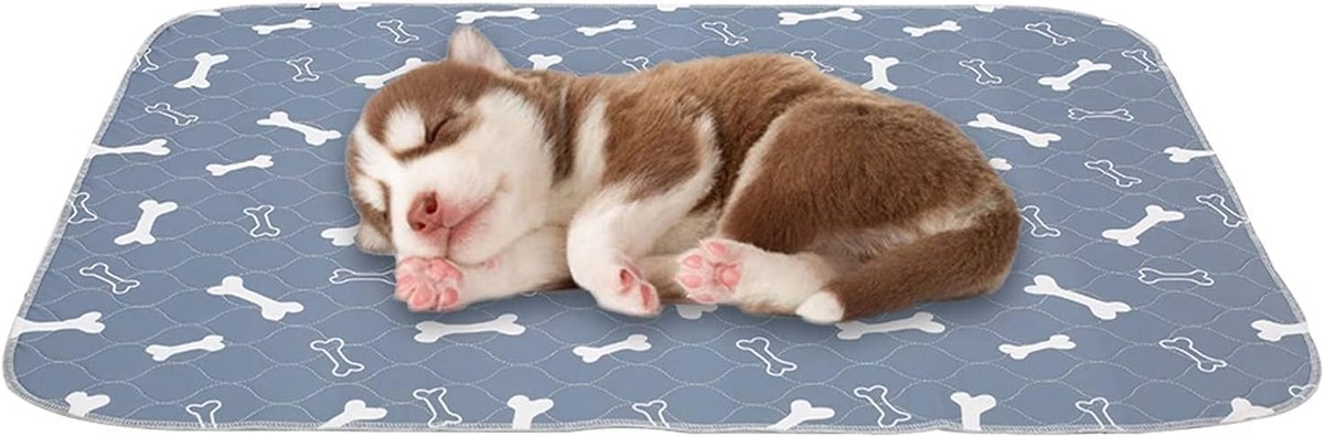 SnelShoppen - Wasbare Hygienische Matten voor Honden (2 Pack), Premium Plas Pads voor Honden, Waterdichte Pads voor Transportbox, Herbruikbare Hondent