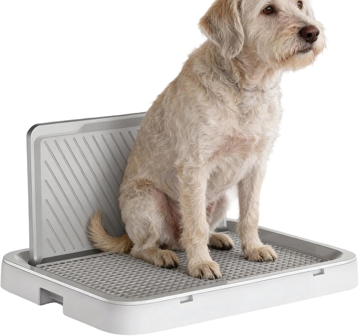 Honden toilet - Puppy trainingsbak - Zindelijkheidstraining - Spatwaterdicht ontwerp - 55 x 40 cm - Grijs