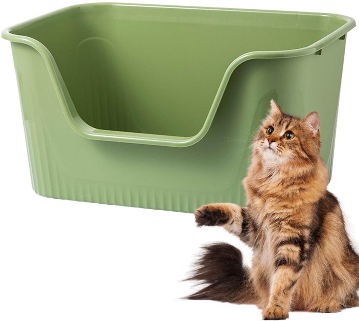Famanu – Kattenbak met hoge zijkanten en lage instap, 100% lekbestendig en anti-spatten, ideaal voor katten