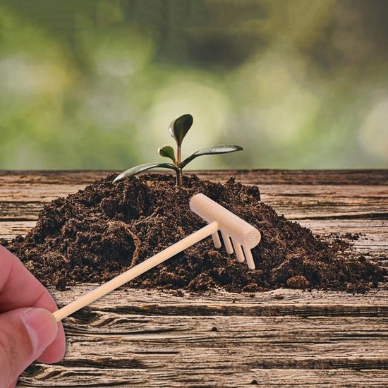 Set van 8 Mini Zen Tuin Harkjes van Bamboe voor Meditatie en Decoratie — afbeelding 3