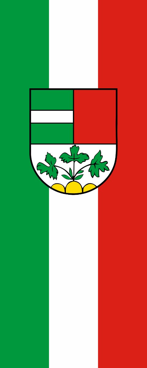 Vlag Laupheim 200x300cm