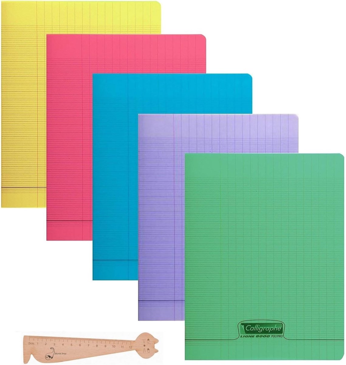 5 notebooks, 17 x 22 - 140 pages, polypropylene envelope, large diamonds + 1 ruler bookmark made of wood flower. - ShopVlot