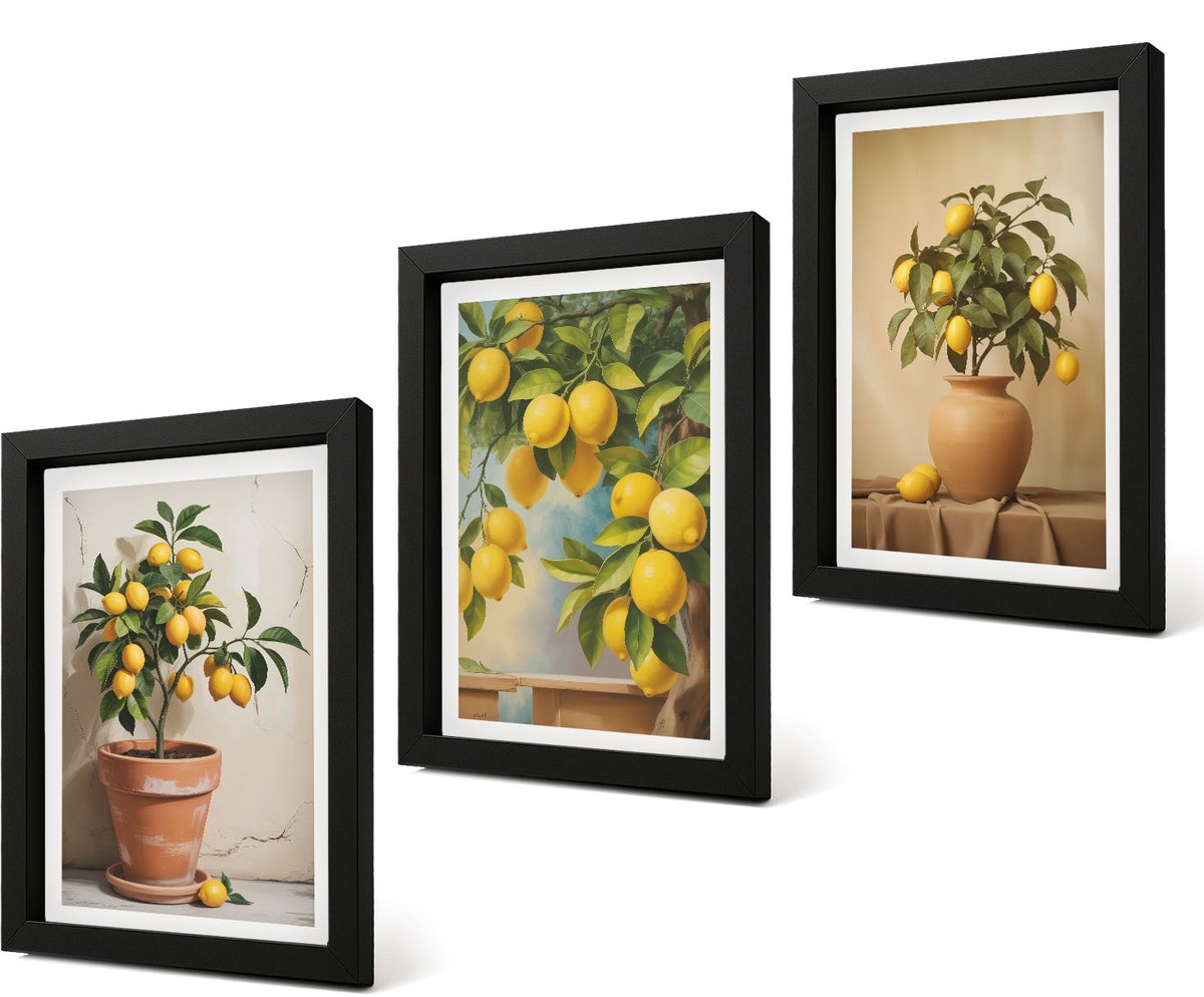 Coloray 4-Delige Schilderij Set - Citroenbomen in potten en vazen - 20 x 30 cm - Wanddecoratie - Muurdecoratie - Woonkamer