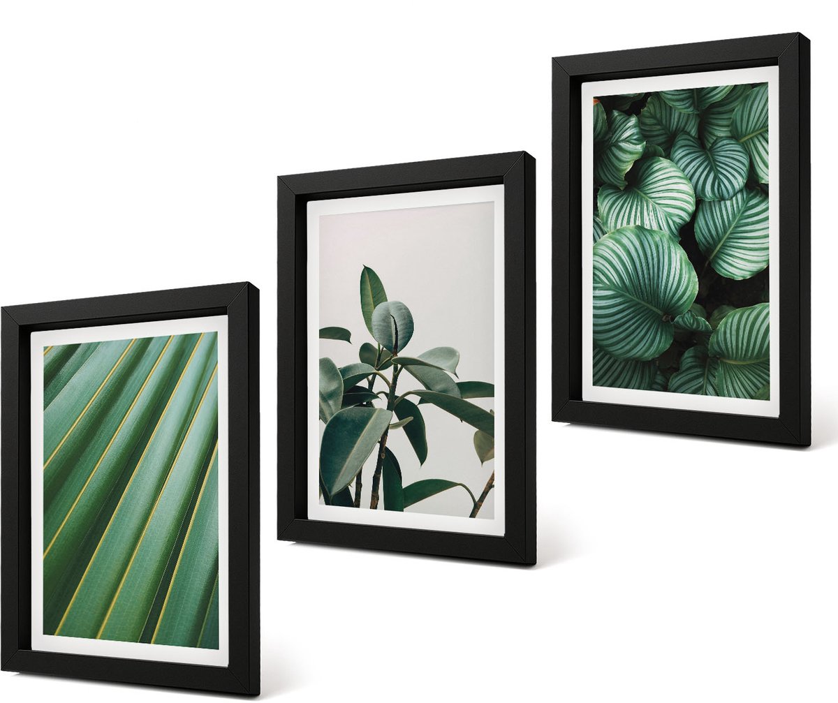 Coloray 4-Delige Schilderij Set - Esthetische tropische bladeren in diverse groene tinten - 20 x 30 cm - Stijlvolle Muurdecoratie - Kantoor - Interieur Decoratie