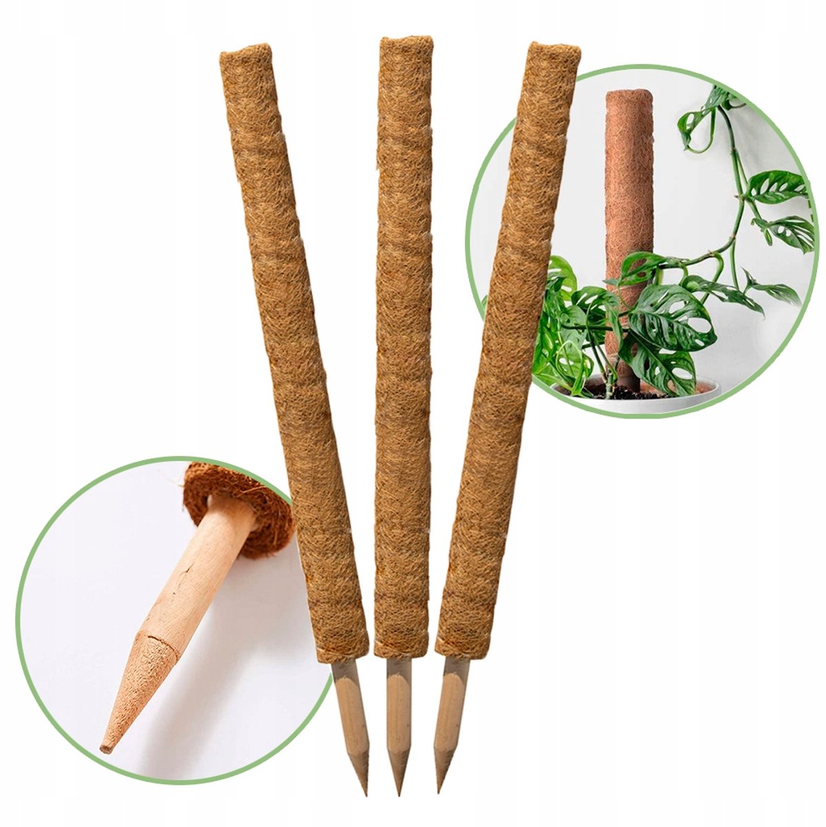 Kokosstokken 60 cm - Plantensteun - Set van 3 stuks
