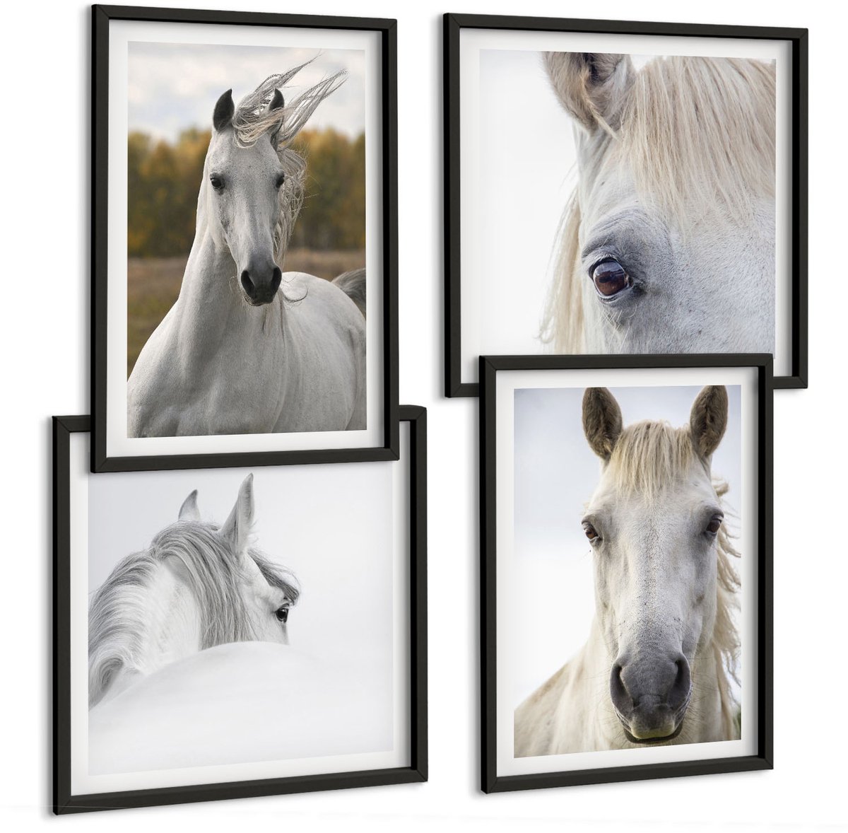 Tulup 4-Delige Schilderij Set - Witte paarden in verschillende houdingen tegen een natuurlijke achtergrond. - 40 x 40 cm en 40 x 60 cm - Wanddecoratie - Muurdecoratie - Moderne Interieurdecoratie - Stijlvolle Muurdecoratie