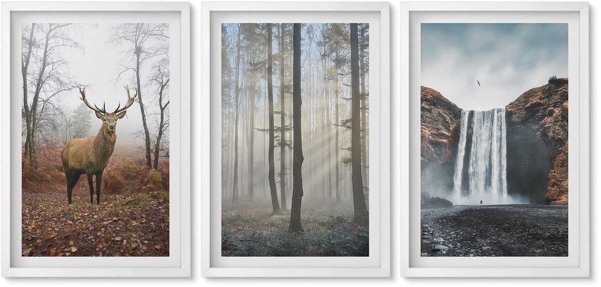 Wallfluent 3-Delige Schilderij Set - Boslandschappen Wilde Natuur Herten - 40 x 60 - Muurdecoratie - Wanddecoratie - Slaapkamer - Moderne Wanddecoratie