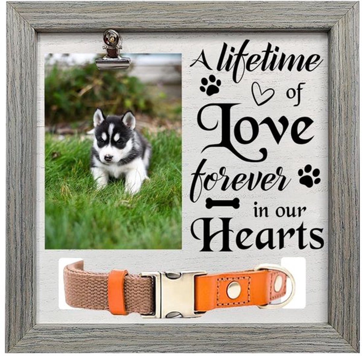 OmGoods - Dailygoody - Fotolijst voor huisdieren - Honden en katten
