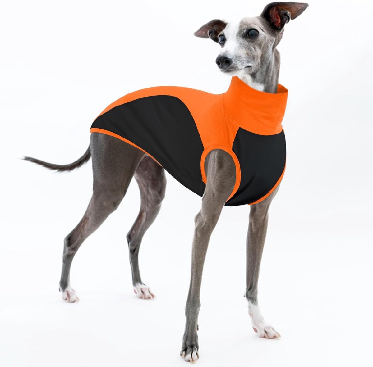 windhond kleding, katoen Whippet hondentrui kleurgeblokkeerde pyjama rekbare pullover sweatshirt jongen meisje (oranje, S)