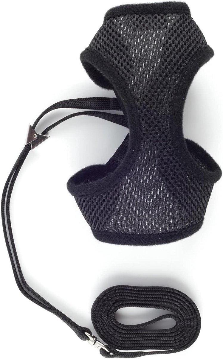 Kat Tuigje met Riem - Veiligheidsharnas Kat - Veilig Wandelen - Zacht Mesh Materiaal - 12 cm Lengte - Zwart
