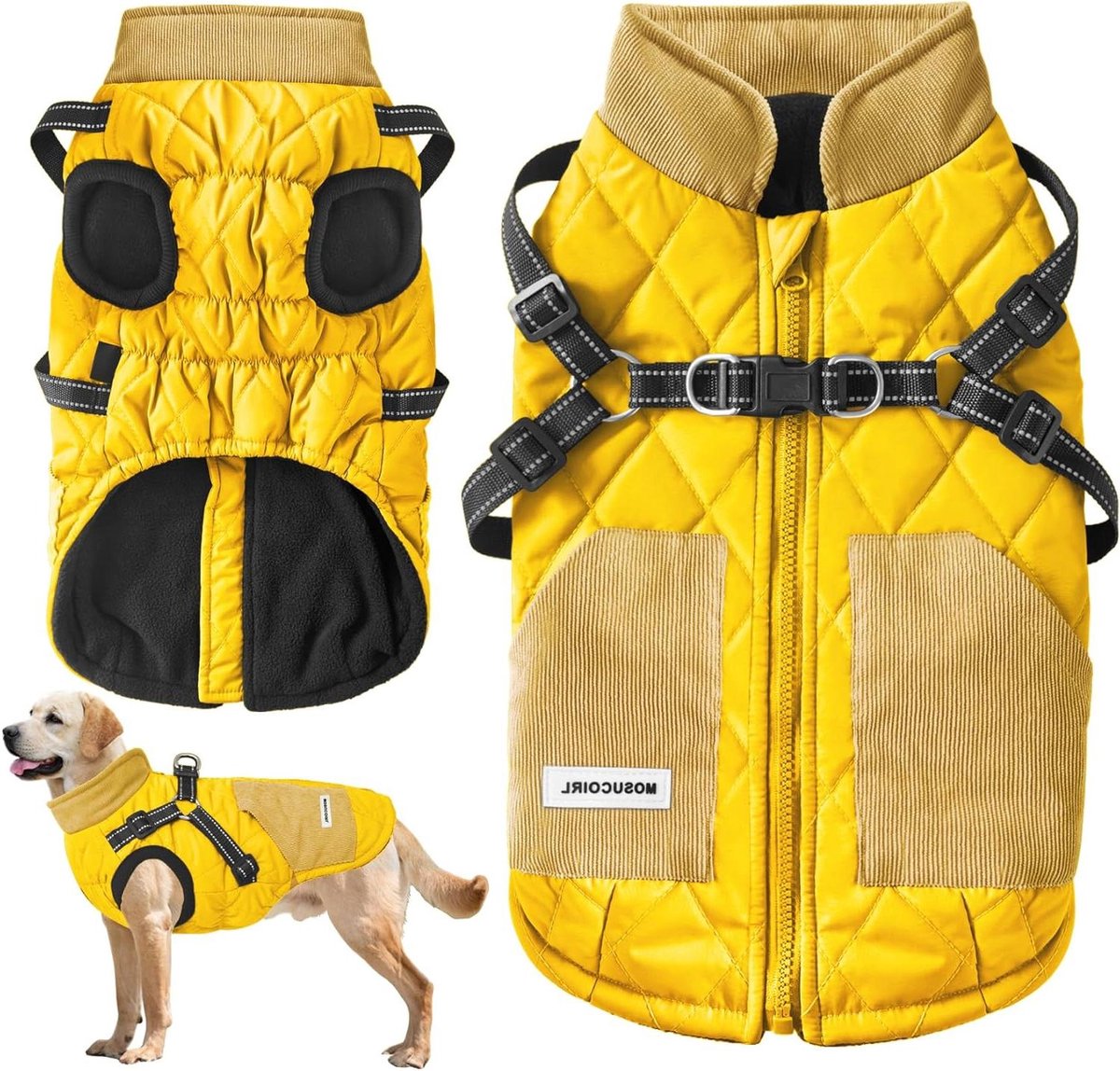 Warme Hondenjas - Huisdierkleding Winterjas - Hond Warm Houden - Waterdicht Winddicht Materiaal - 6 Maten - Blauw