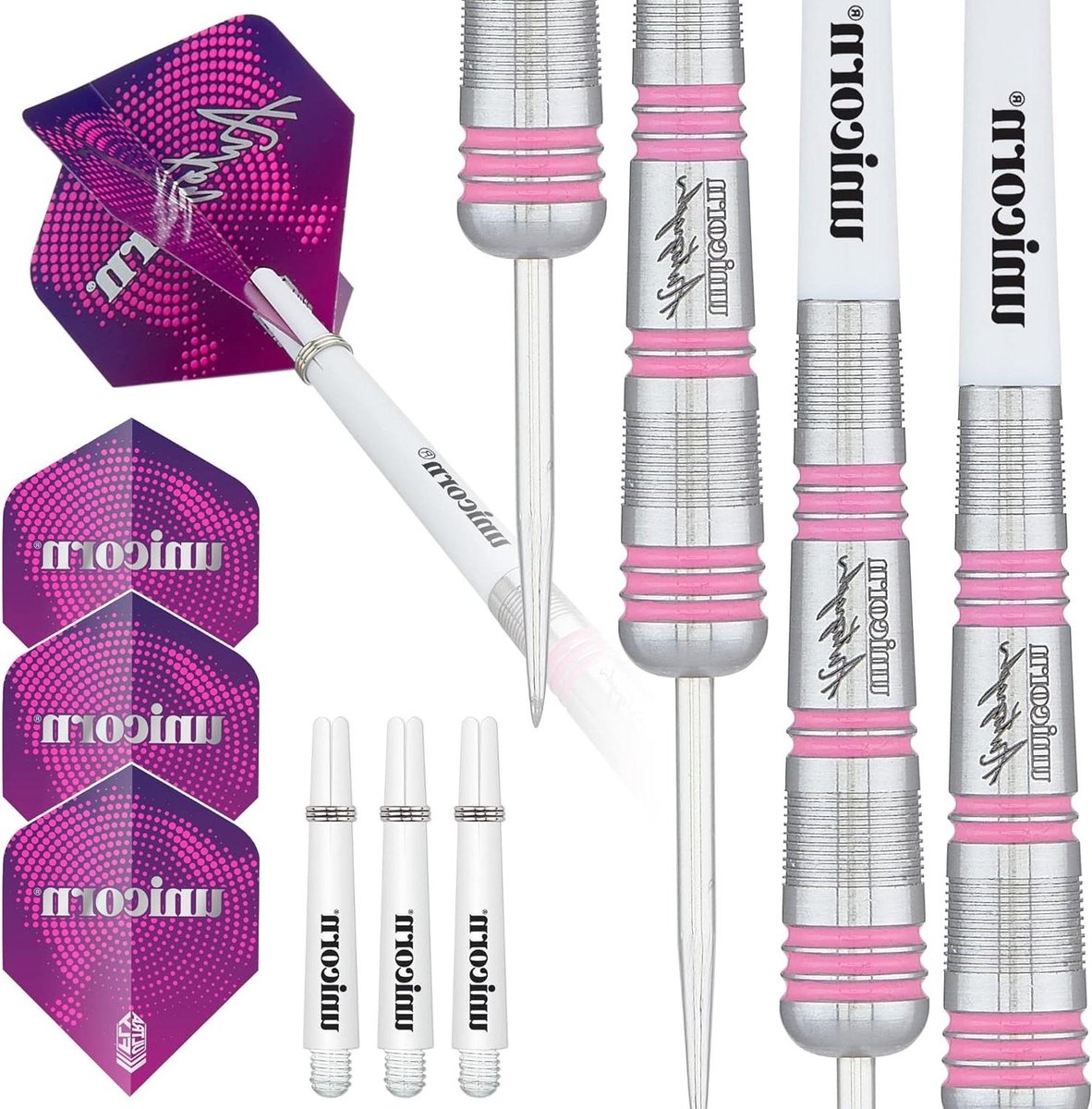 Stalen Dartset - Dartpijlen Set - Precisie Werpen - 80% Wolfraam Vaten - 25 g - Zilver/Roze