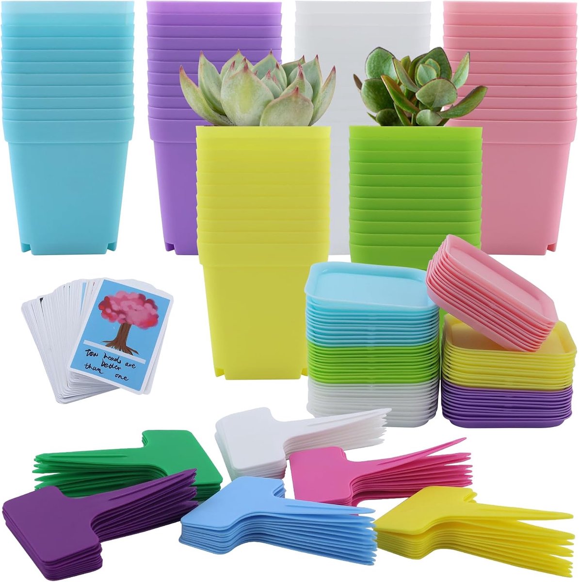 66 stuks 7 cm kweekpotten, plantenpotten, kweken akkerig met onderzetter, kleine bloempotten, plastic, mini-potten voor zaden, vetplantenbont