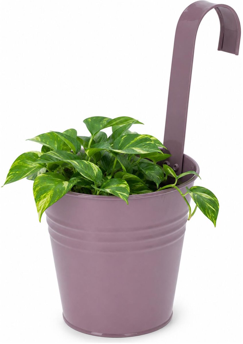 Progarden Bloempotje met haak - plantenbak zink met ophanghaak - paars - 20 x 13 x 26 cm - ophangbaar- Balkon/schutting plantenpot