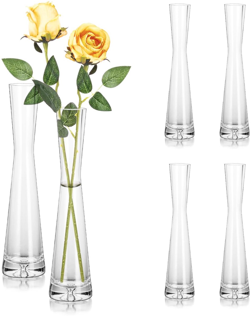 Omgoods - Set van 6 Glazen Vazen voor Bloemen 24 cm Hoog