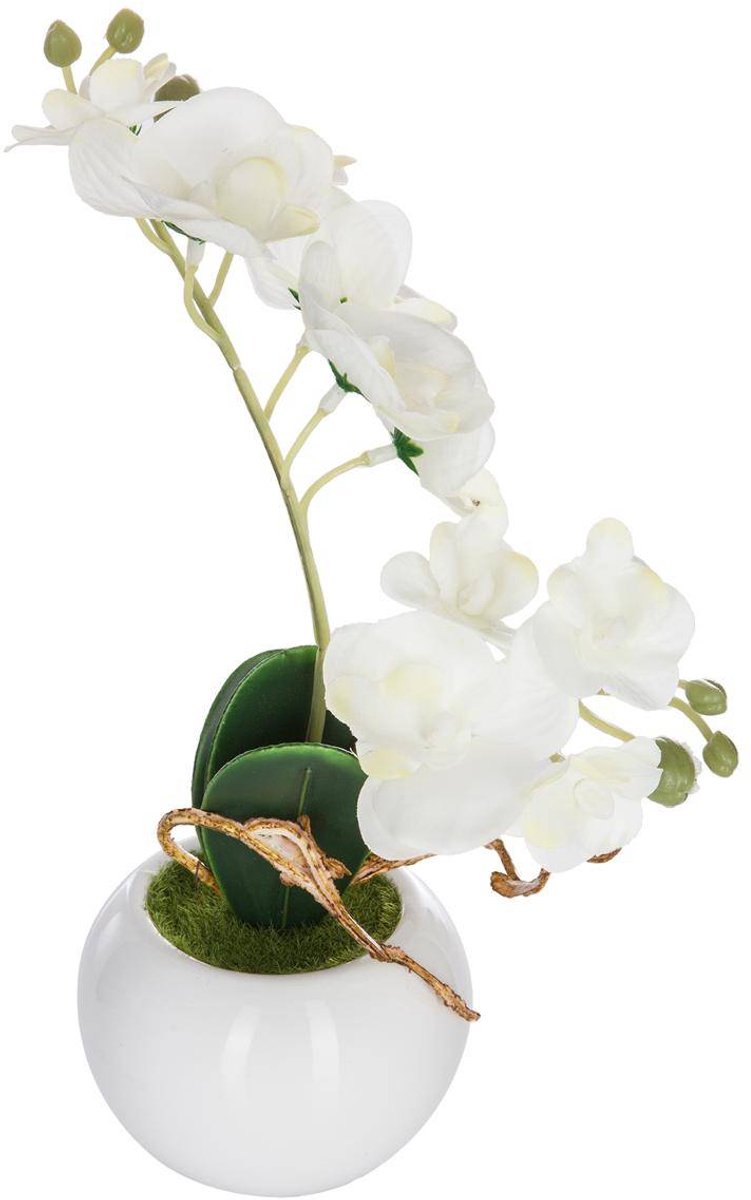 Kunstorchidee ORCHIDEE