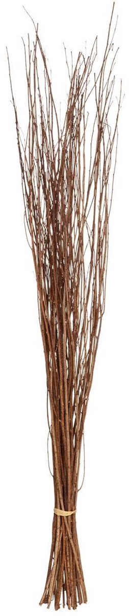 Natuurlijke gedroogde bloemen KANI