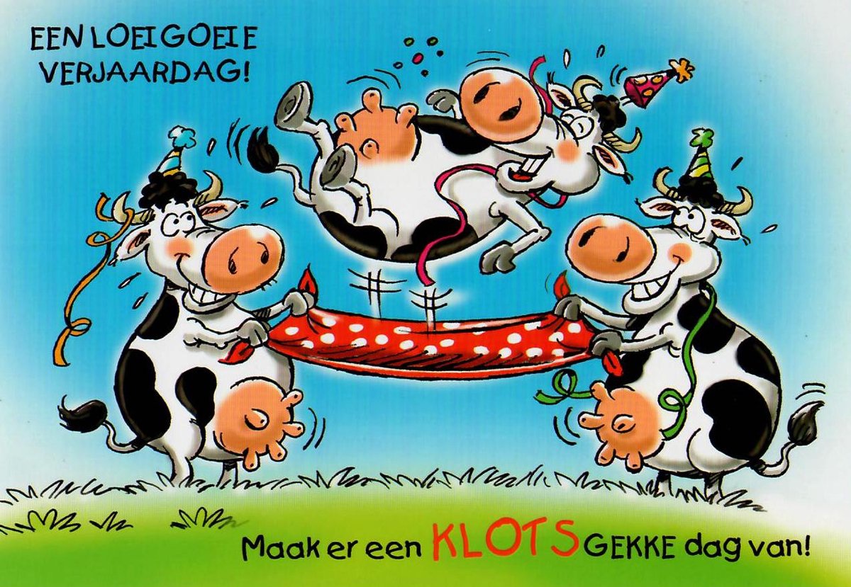 Verjaardagskaart volwassenen | Wenskaart | 10 stuks | Een loeigoeie verjaardag!