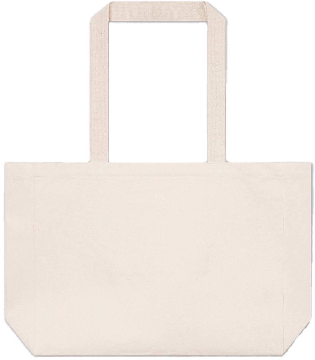 Bareen Panelled Canvas Bag White