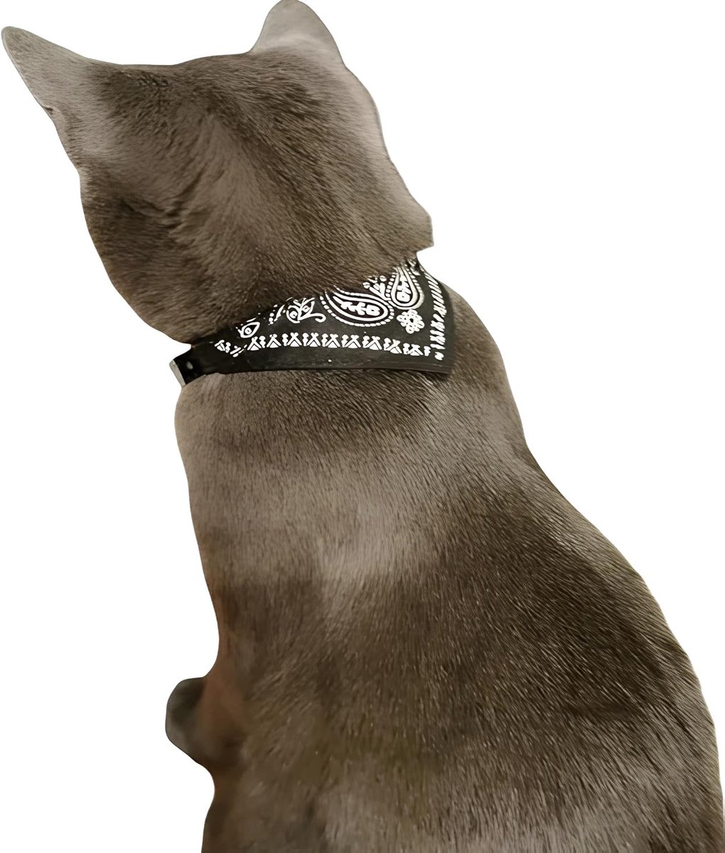 Katten- en hondenhalsband met Bandana - Verstelbare halsband 20-26cm halsomtrek