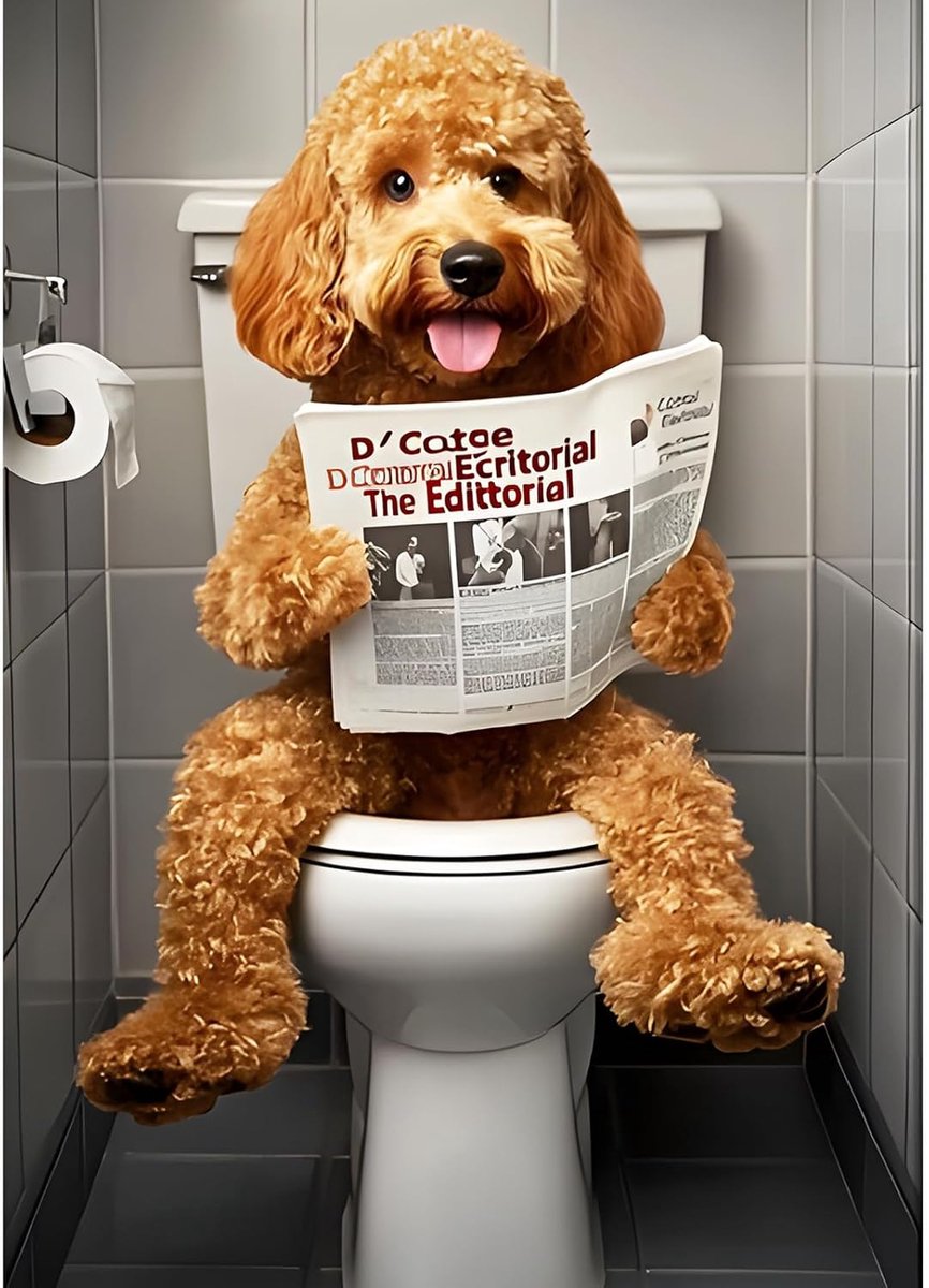 Doe-het-zelf hond leest krant diamant painting kits foto's voor volwassenen beginners, 5D toilet diamond painting set, doe-het-zelf ronde stenen wasruimte diamant kunst kits, diamant kunst kit