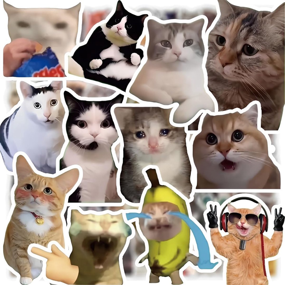 Kattenstickers 300 stuks - Grappige meme-stickers - Esthetische kitty-stickerset - Voor laptop en notitieboek - ShopVlot