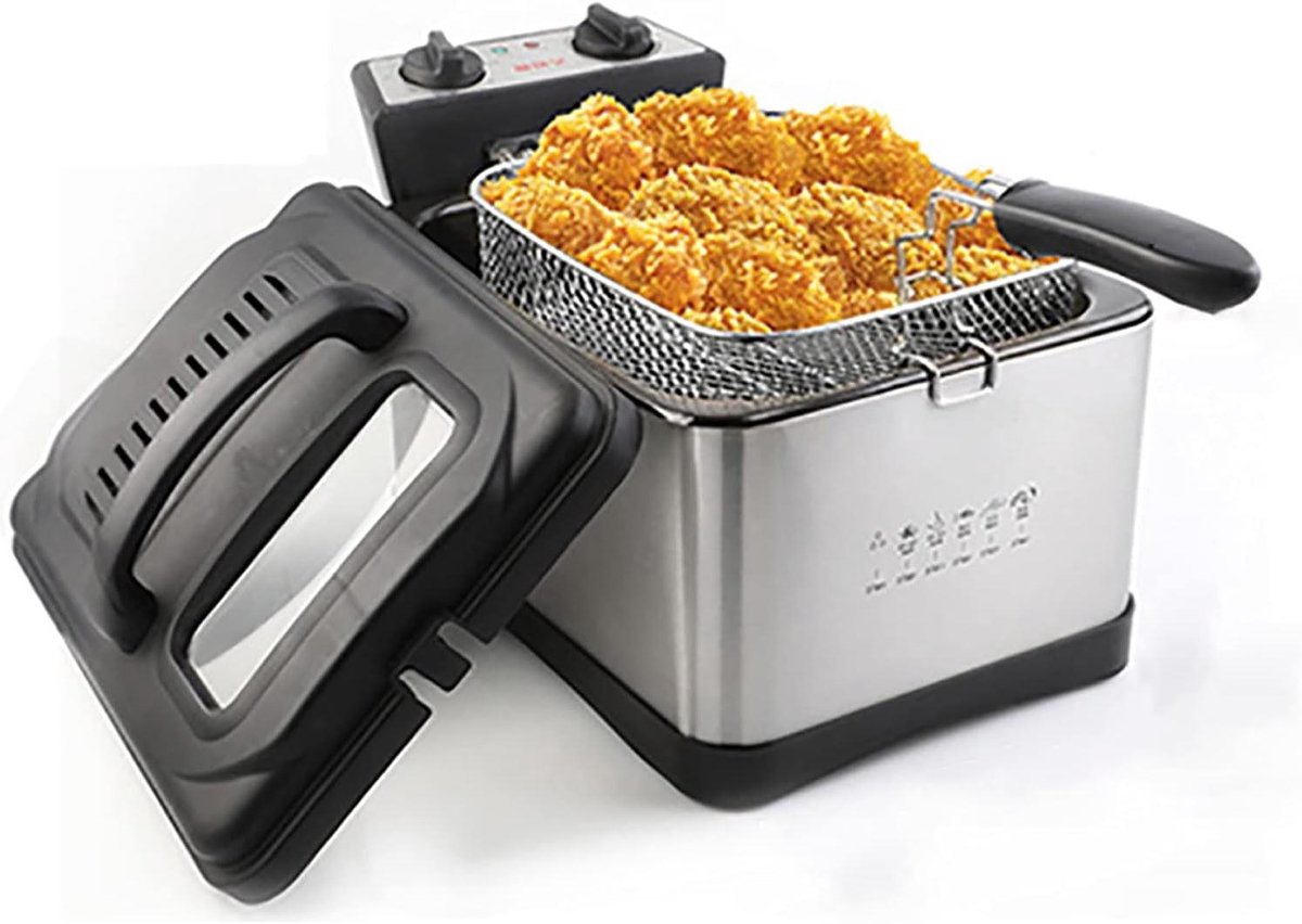 Elektrische Frituurpan - Friteuse - Thuis Frituren - Constante Temperatuurregeling - 45L of 5L - Zilverkleurig