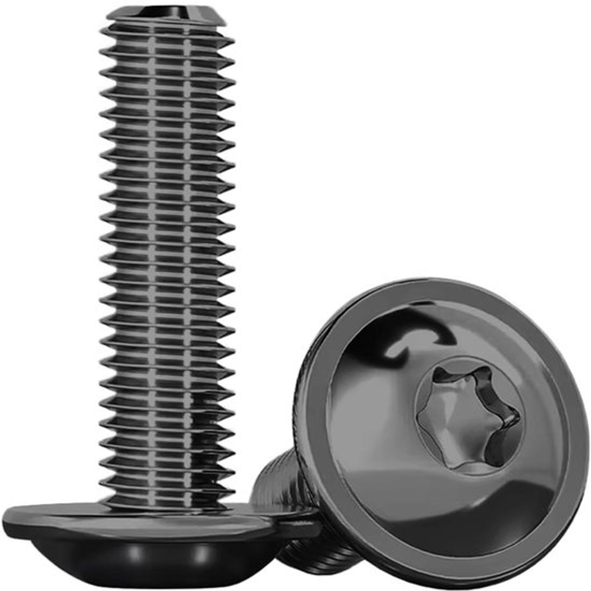 Lenskop Schroeven met Flens 20 stuks M5 x 25mm Torx Zwart RVS A2 V2A Voldraad ISO 7380-2 voor Bevestiging en Montage