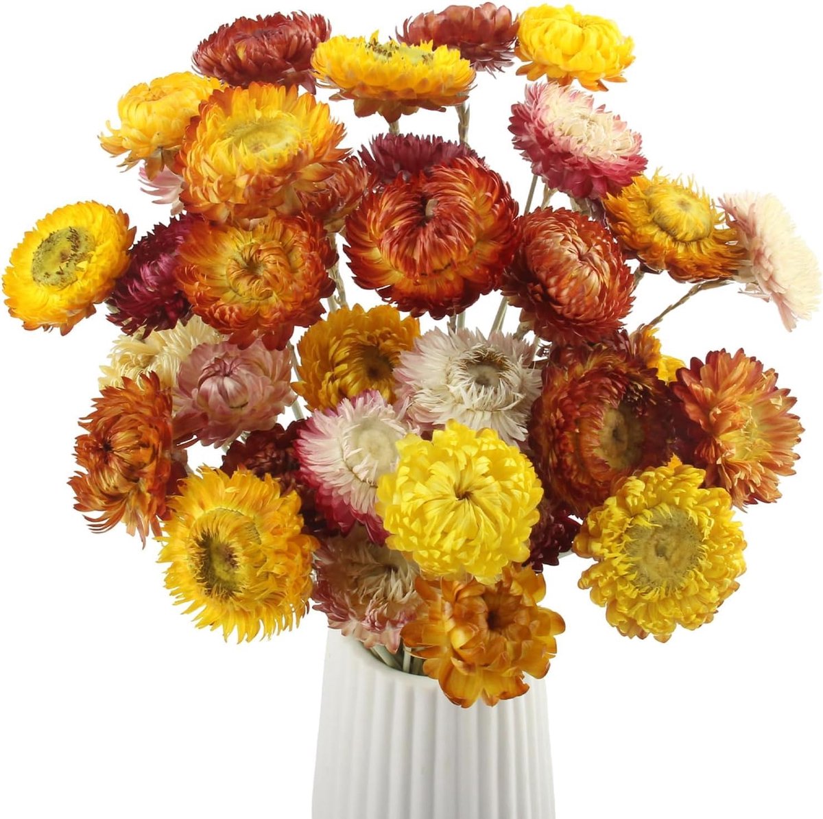 Gedroogde bloemen 20 stuks - Meerkleurig boeket - Natuurlijke materialen - Perfect voor woondecoratie - ShopVlot