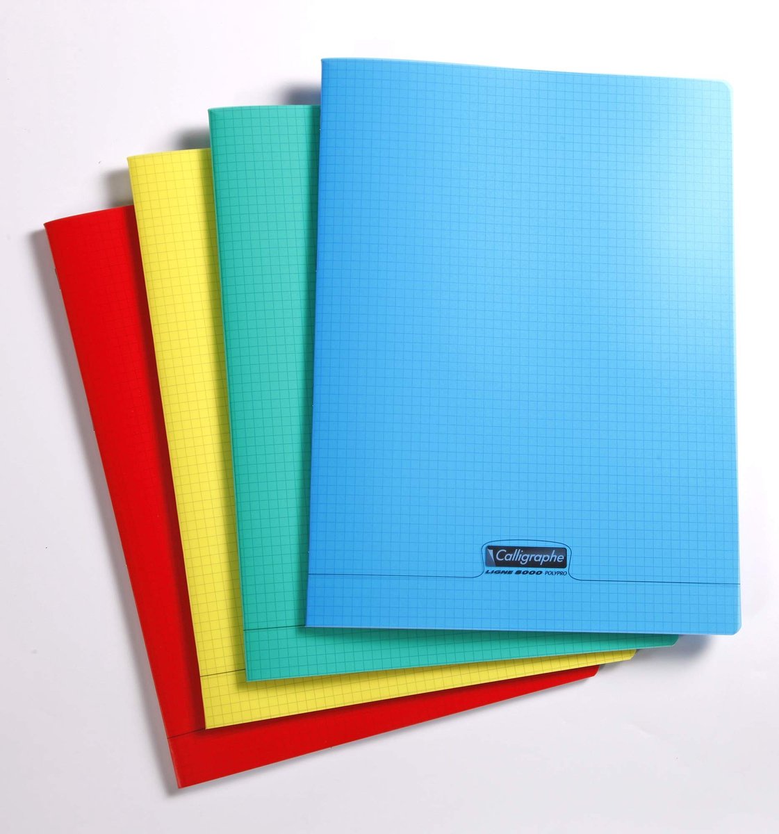 Calligraphy PP Schrijfboek - 48 Bladen - A4 Assortiment