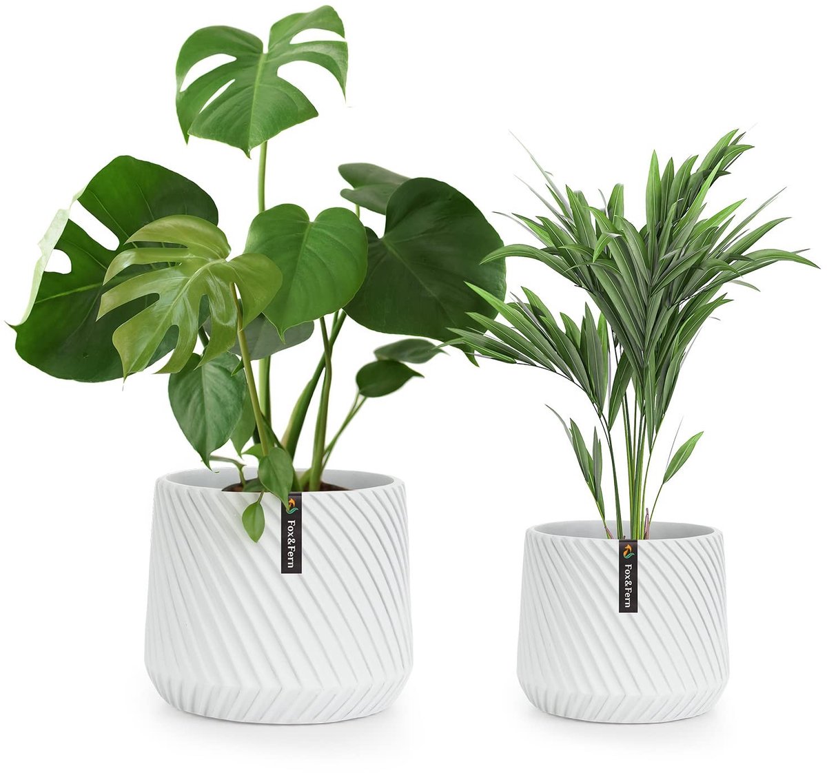 Set van 2 Plantpotten - Matte Witte Polystone Vazen met Afvoergat