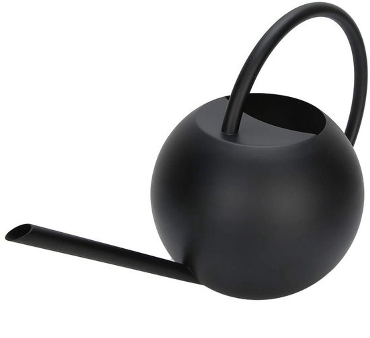 Gieter met lange uitloop 33oz/1L - RVS gieter voor kamerplanten - binnen en buiten - zwart