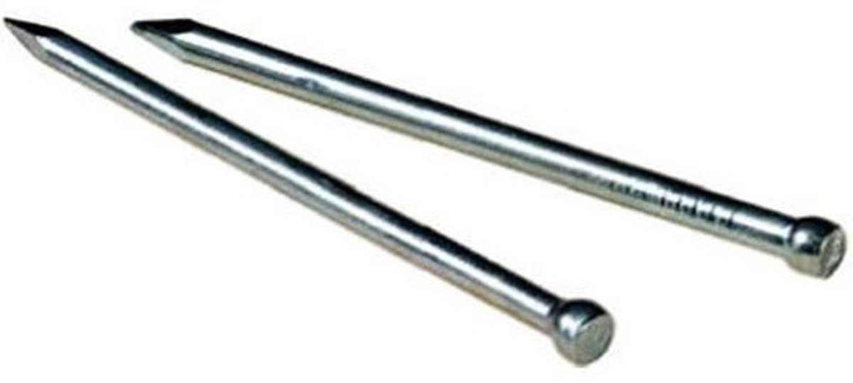 Gegalvaniseerde Spijkers - Draadnagels - Meubels Monteren - Corrosiebestendig - 23 x 52 x 123 mm - Zilverkleurig