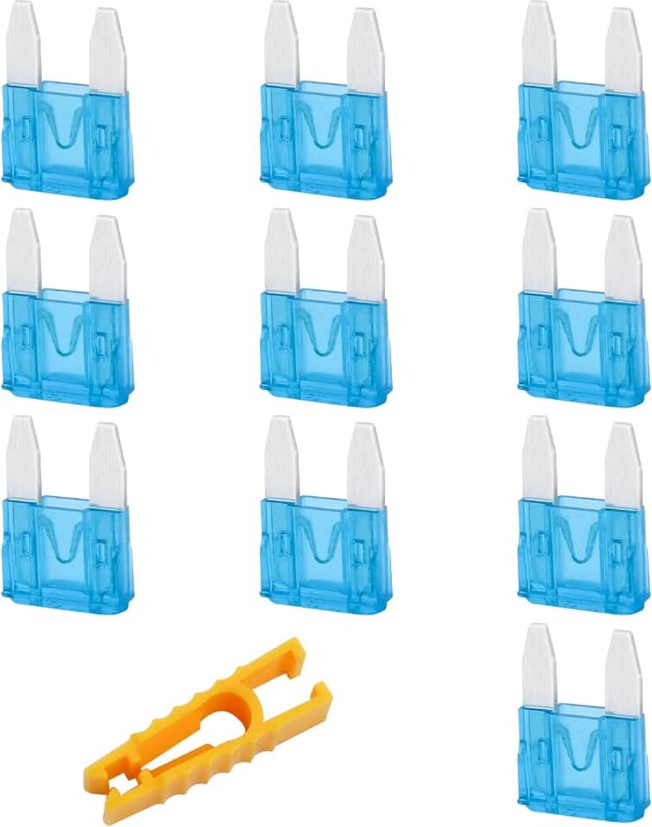 10 stuks autozekeringen, 15 A mini-zekeringenset voor auto, camper, vrachtwagen, motorfiets, boot